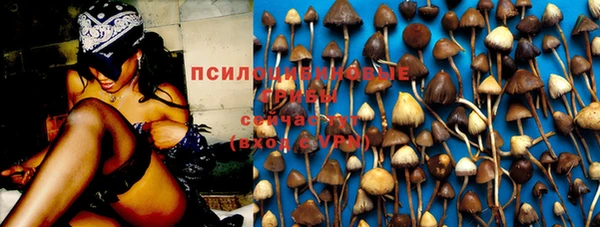 гидропоника Арсеньев