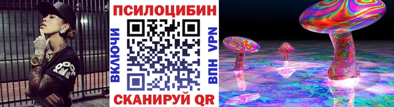 ссылка на мегу   где купить наркоту  Пошехонье  Галлюциногенные грибы Magic Shrooms 