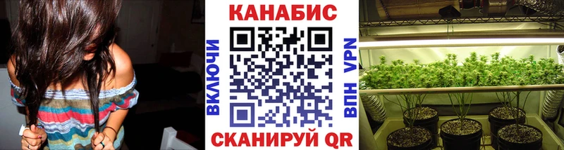 Бошки Шишки план  kraken зеркало  Пошехонье 